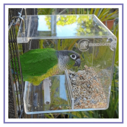 Comedouro Aves Papagaio de Acrílico