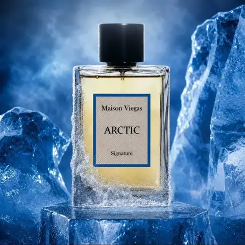 ARCTIC - MAISON VIEGAS