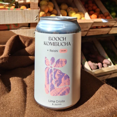 Soda de Kombucha Lima, Jazmín y Reishi 354ml - Booch