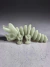 Dinossauro Triceratops - Brilha no Escuro - comprar online