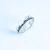 Anillo cordillera de los Andes en internet