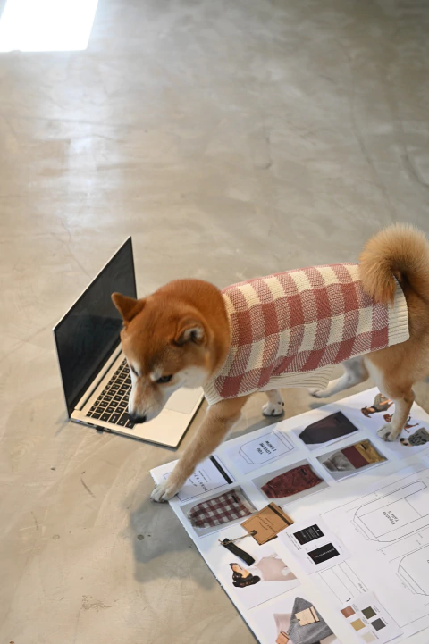 Sweater CUADROS Almendra - comprar online