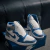 Air Jordan 1 Retro High True Blues en internet