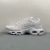 Nike Air Max Plus TN White Pure Platinium