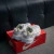 Nike V2K Run "White Silver Hydrogen Blue" - Vaku store