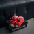 Converse Chuck Taylor Lo Red Egret - Vaku store