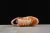Adidas Gazelle Indoor Bad Bunny Santurce - Vaku store