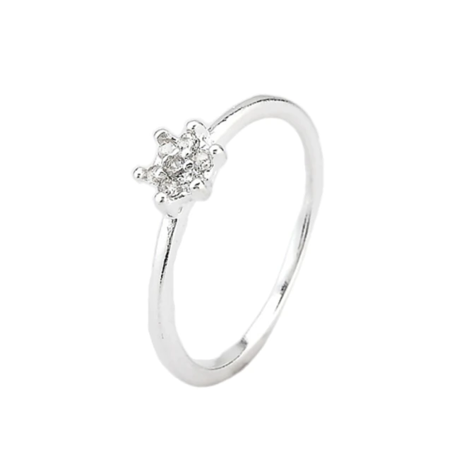 Anillo Centro Micropave