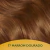 Kit Tonalizante Soft Color Marrom Dourado - 77 - Danny Cosméticos | Perfumes, Maquiagem e Beleza