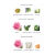 Bvlgari - Rose Goldea Blossom Delight EDP (decant feminino) na internet