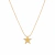 Colar Estrela Banhado a Ouro
