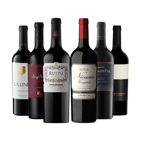 Vinos Tintos Malbec Seleccion x 6 Con Estuche - comprar online