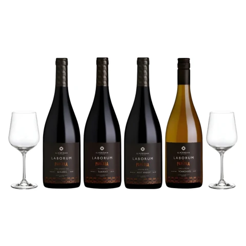 Set Vinos Tintos Laborum de Parcela Degustacion Seleccion x 4 y 2 Copas Con Estuche