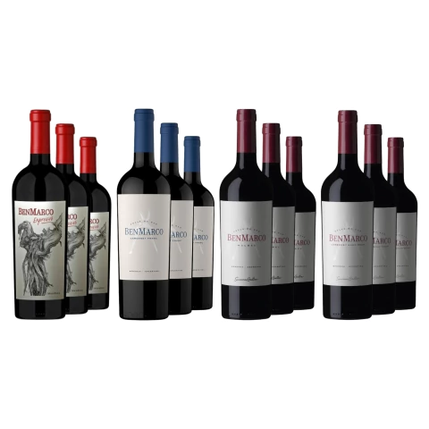 Vinos Tintos BenMarco Seleccion x 12