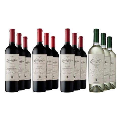 Vinos Combinados Escorihuela Gascon Seleccion x 12