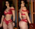 LINGERIE BELLA 01/COR PRETO/REF:P421 - comprar online