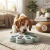 Tabuleiro Interativo Pata Porta Petisco para Cães - comprar online