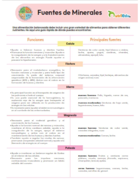Infografias (No olvides elegir tu modelo) en internet