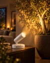 Spot Orientable Somna