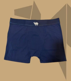 Cueca Brisa - comprar online