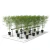 SISTEMA DE ILUMINACIÓN UNDER CANOPY UCL1 X4 GROW PROS en internet