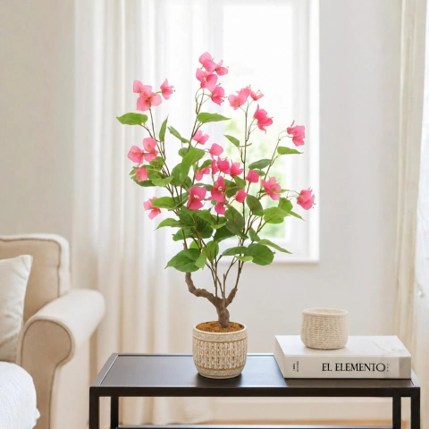 BUGANVILLA ROSA