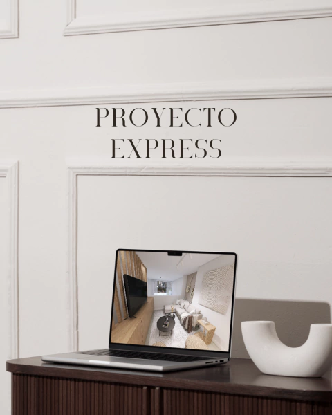 PROYECTO EXPRESS - comprar online