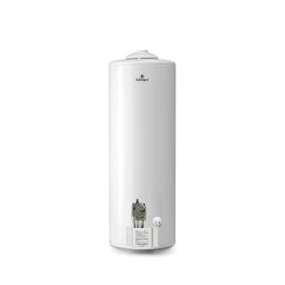 Termotanque a gas 110 L convencional multigas para apoyar Blanco - CA110