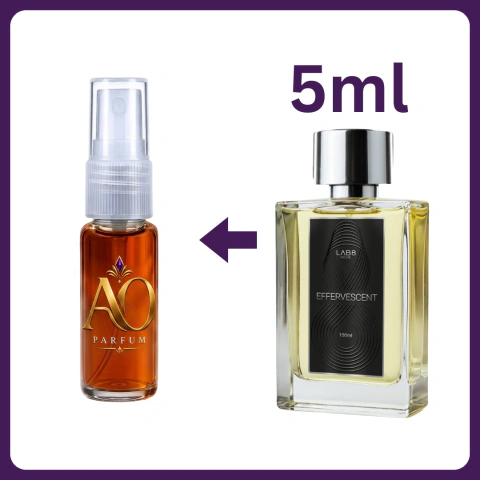 Effervescent - Lab 8 (Masculino) EDP - loja online