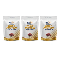 Combo Whey Protein Concentrado Cacau Belga 450g - 3 Unidades