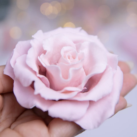 Molde texturizadores rosa - comprar en línea