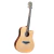 Guitarra Electroacustica Palmer PD46CEQ-N C/eq Y Funda