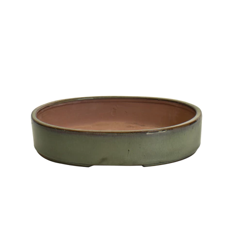 Maceta Charola Grande Green Cream - comprar en línea