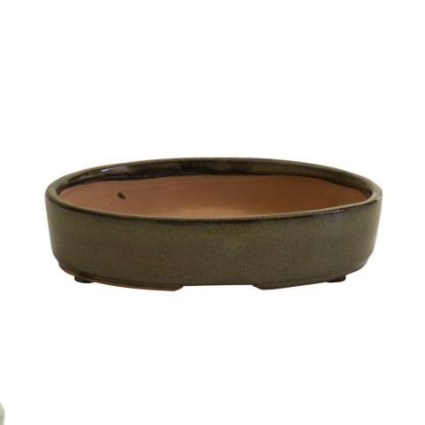 Maceta Charola Chica Yellow Cream - comprar en línea