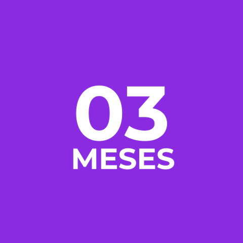 Plano EMPRESARIAL - TRIMESTRAL