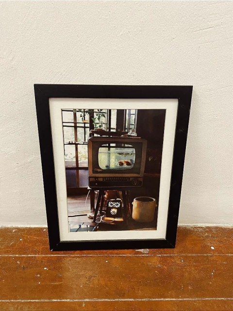 Quadro Aquário (M) - comprar online