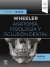 Wheeler. Anatomía, fisiología y oclusión dental