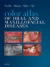 Color Atlas of Oral and Maxillofacial Diseases