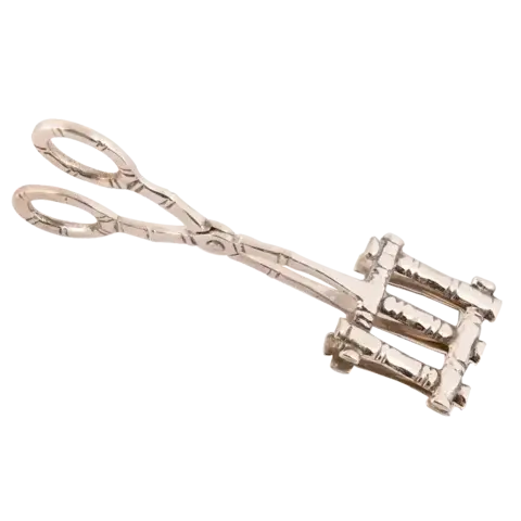 Ice Tongs Hemis in Nickel Silver 22 cm