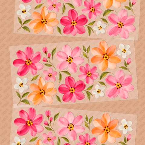 Flores - Hibiscos