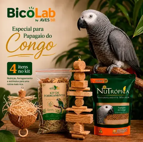 BicoLab Congo | Kit de Enriquecimento para Papagaio do Congo