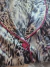 Pijama Animal Print Blue Curto em Cetim Nobre
