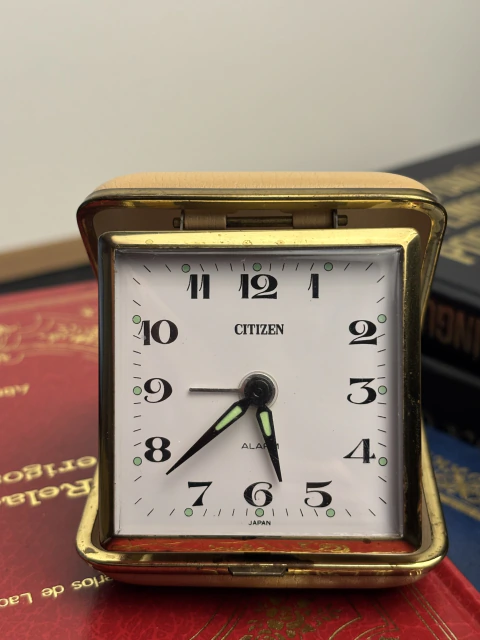 Citizen Alarme de Viagem