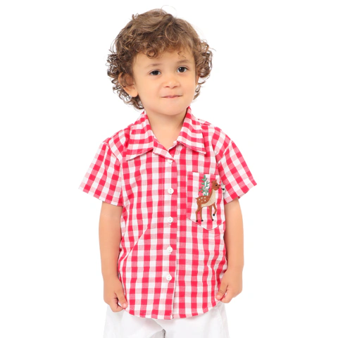 Camisa social xadrez