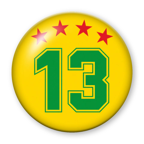 13 Tetra Amarelo