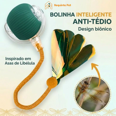 Caça & Brinca™ | Brinquedo Interativo para Cães e Gatos na internet