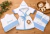Roupão para bebê / infantil + toalha de banho com capuz + kit fralda tema leão - Ateliê Alinart Baby