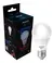 LED PERA NEO 10W 2700K-6500K LAMPADA INTELIGENTE