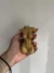 Cuerpo Mujer en internet