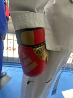Guantes Adidas Semi Contacto – Taekwondo / Kick Boxing - La Casa del Luchador